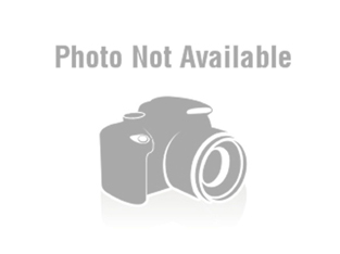 Auto Parts & Accessories